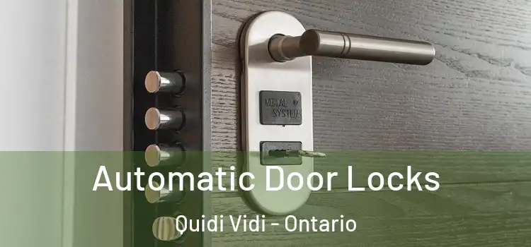 Automatic Door Locks Quidi Vidi - Ontario