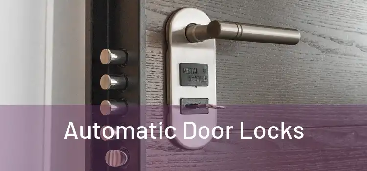 Automatic Door Locks 