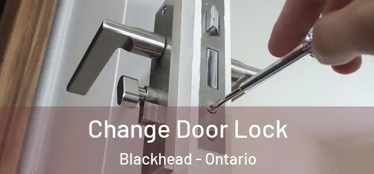Change Door Lock Blackhead - Ontario