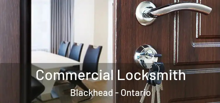 Commercial Locksmith Blackhead - Ontario