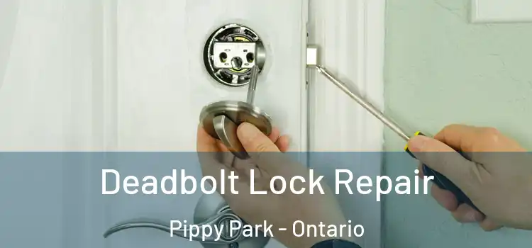 Deadbolt Lock Repair Pippy Park - Ontario