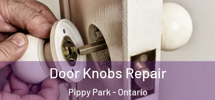 Door Knobs Repair Pippy Park - Ontario