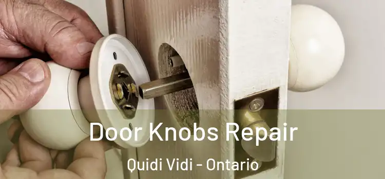 Door Knobs Repair Quidi Vidi - Ontario