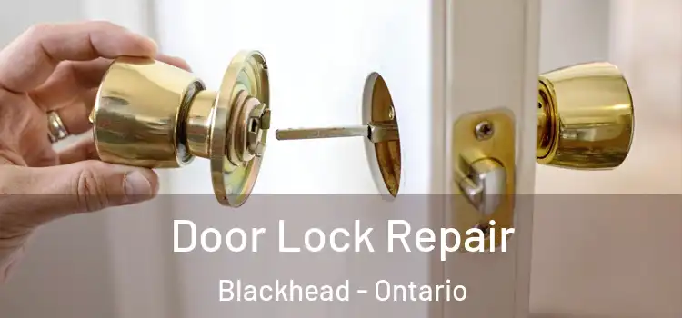 Door Lock Repair Blackhead - Ontario