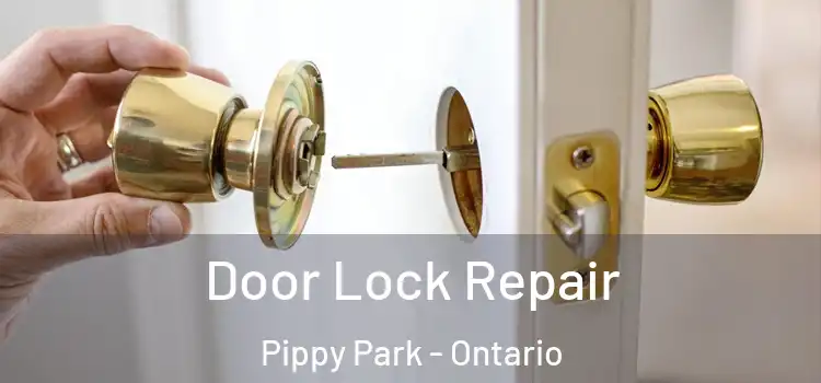 Door Lock Repair Pippy Park - Ontario
