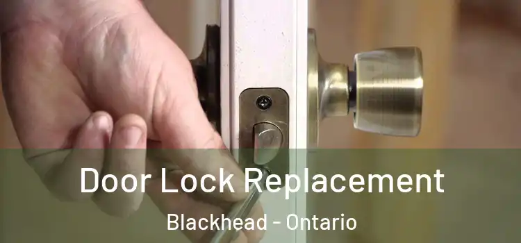 Door Lock Replacement Blackhead - Ontario