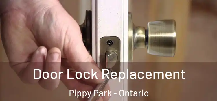 Door Lock Replacement Pippy Park - Ontario
