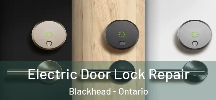 Electric Door Lock Repair Blackhead - Ontario