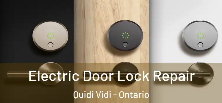 Electric Door Lock Repair Quidi Vidi - Ontario