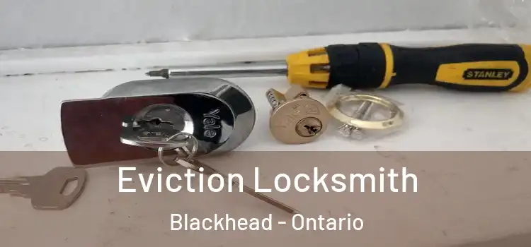 Eviction Locksmith Blackhead - Ontario