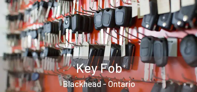 Key Fob Blackhead - Ontario