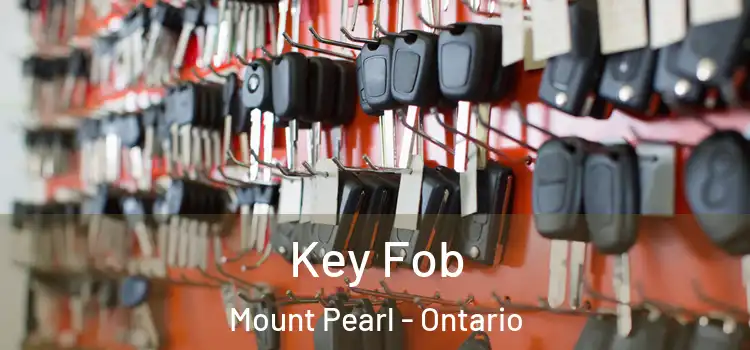 Key Fob Mount Pearl - Ontario