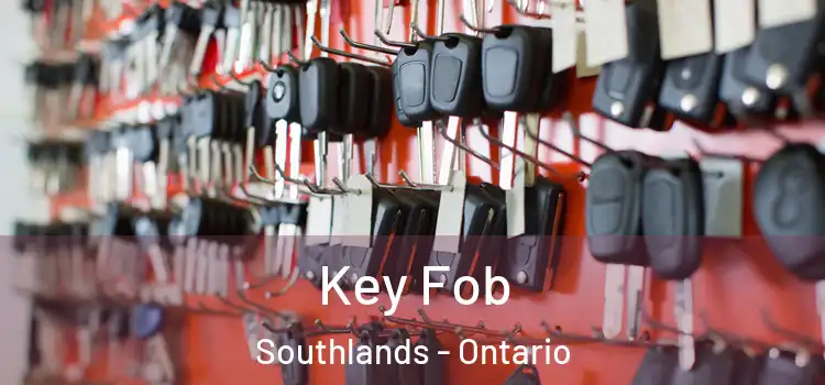 Key Fob Southlands - Ontario