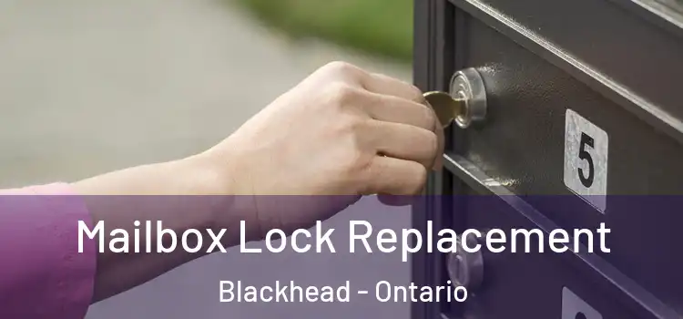 Mailbox Lock Replacement Blackhead - Ontario