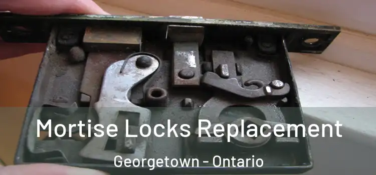 Mortise Locks Replacement Georgetown - Ontario