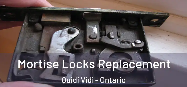 Mortise Locks Replacement Quidi Vidi - Ontario