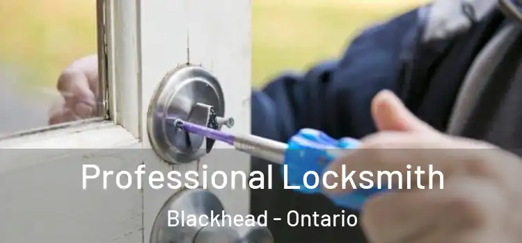 Professional Locksmith Blackhead - Ontario