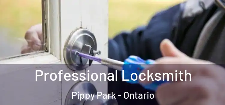 Professional Locksmith Pippy Park - Ontario