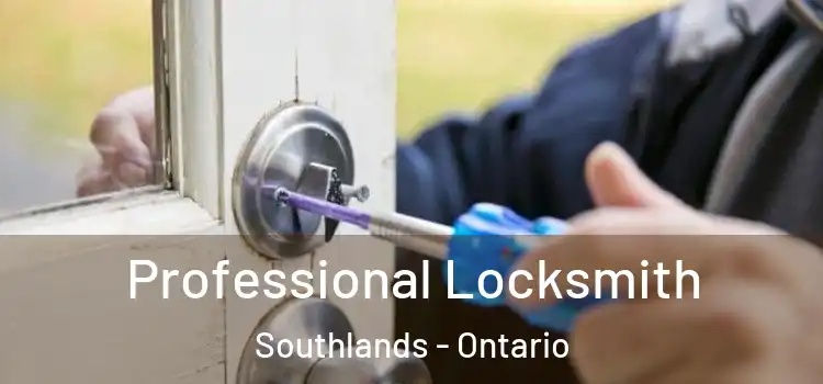 Professional Locksmith Southlands - Ontario