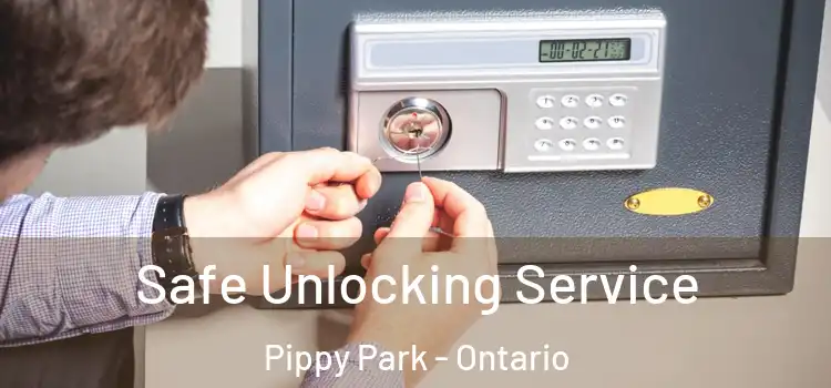 Safe Unlocking Service Pippy Park - Ontario