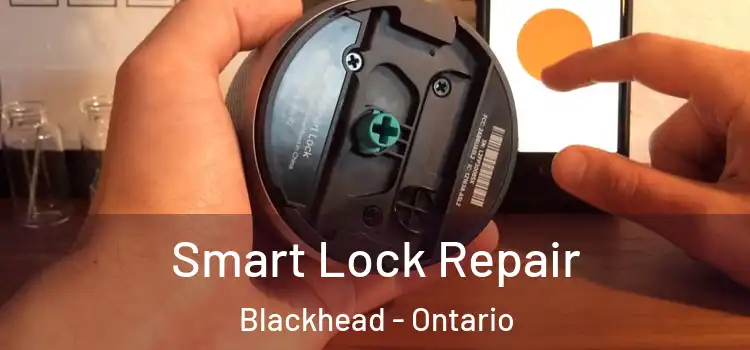 Smart Lock Repair Blackhead - Ontario