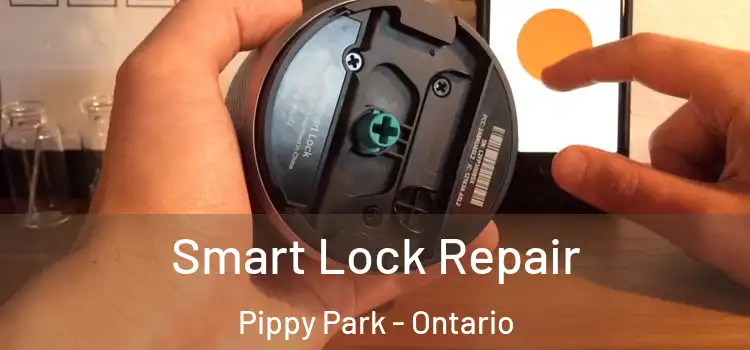 Smart Lock Repair Pippy Park - Ontario