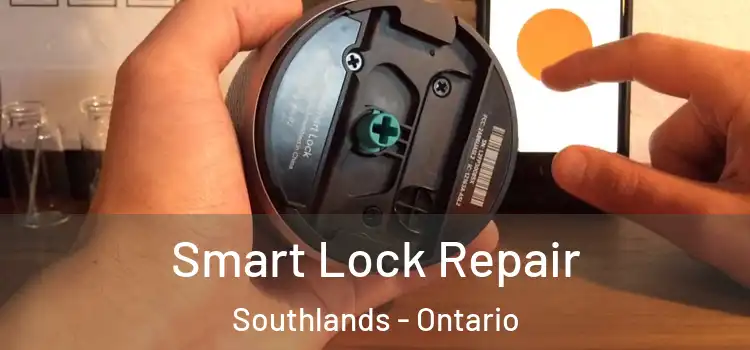 Smart Lock Repair Southlands - Ontario
